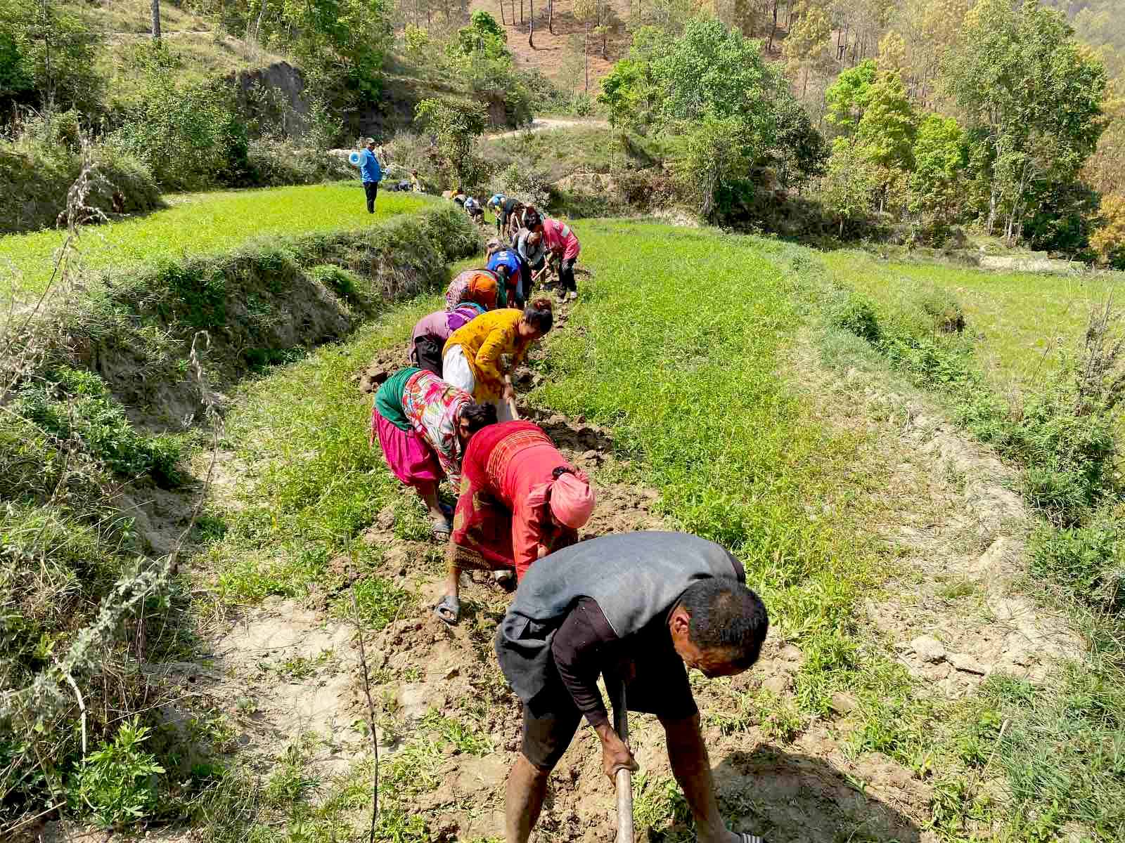 दियालेमा सुरक्षित खानेपानी परियोजनाको काम सुरु