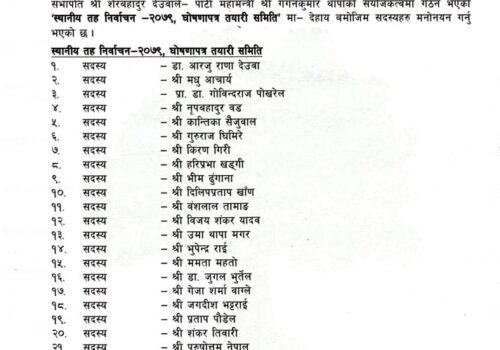 स्थानीय सरकारको स्पष्ट मार्गचित्रसहितको घोषणापत्र बनाउँछौँ : गुरुराज घिमिरे