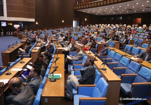 पहाडी जिल्लामा बाँदर आतङ्क रोक्न सांसदको माग