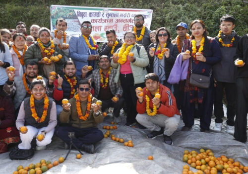 बेनिघाट रोराङमा सुन्तला खाउँ,बिऊ दिउँ कार्यक्रम