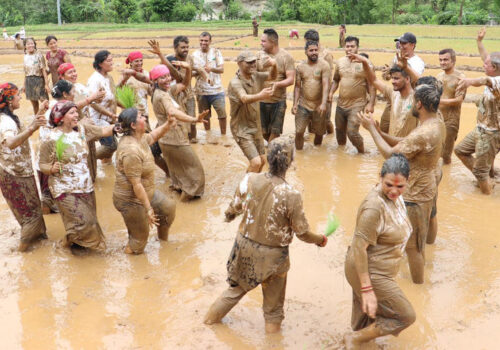 पर्यटन प्रवर्द्धनका लागि सिद्धलेकमा रोपाइँ महोत्सव