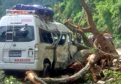 गुडिरहेको माइक्रो बसमाथि रुख ढल्दा नौ जना घाइते