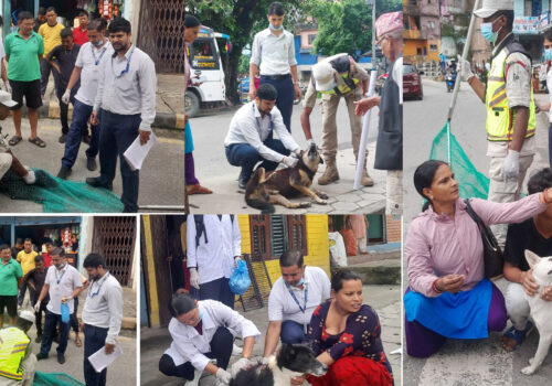 १८ औँ विश्व रेविज दिवसको अवसरमा सप्ताहव्यापी खोप अभियान सुरु