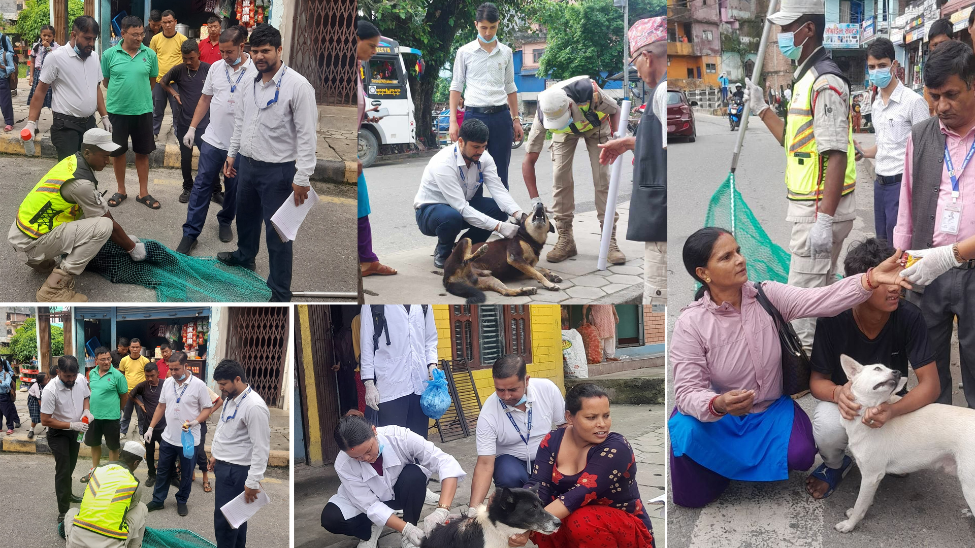 १८ औँ विश्व रेविज दिवसको अवसरमा सप्ताहव्यापी खोप अभियान सुरु