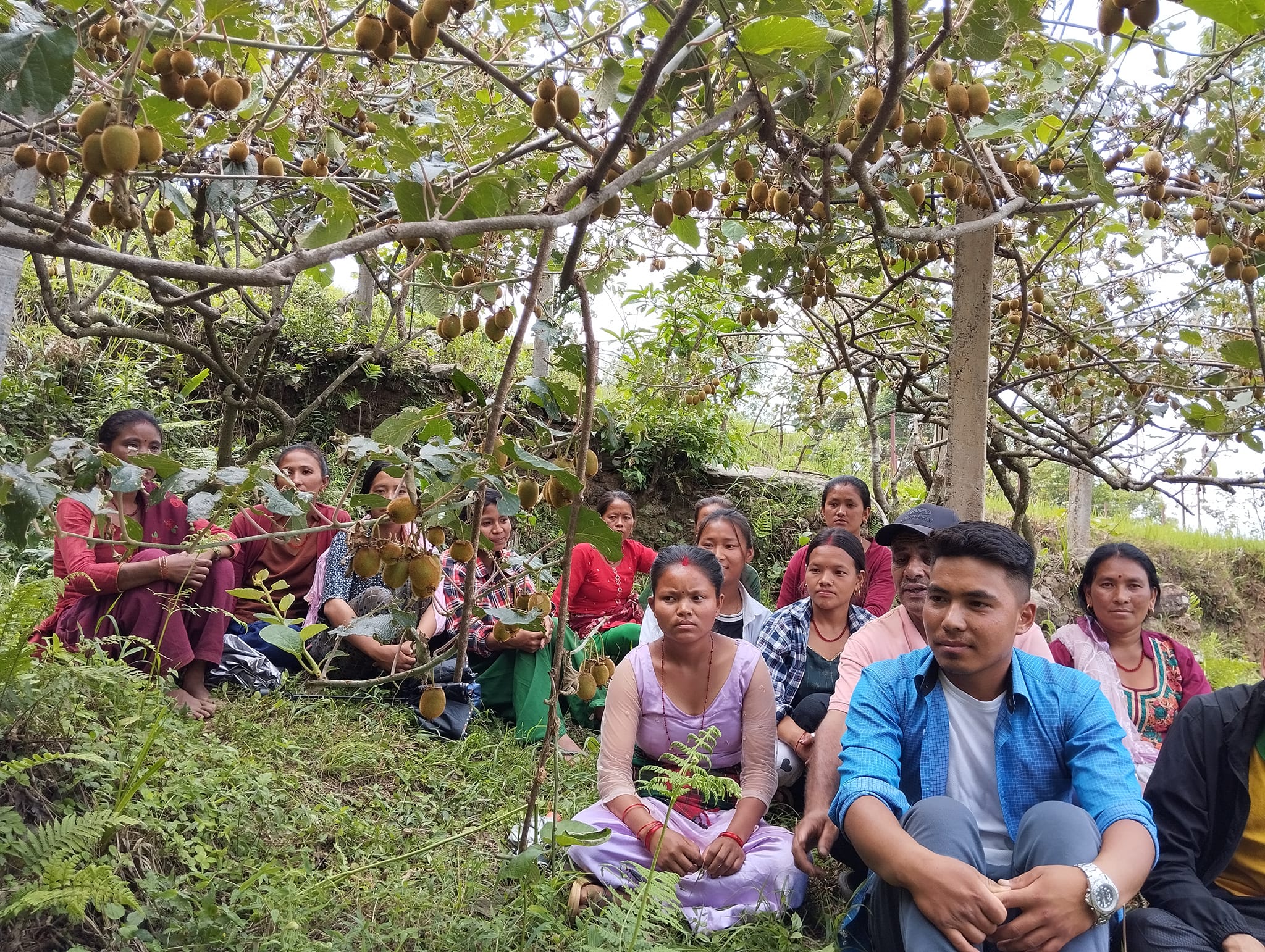 किवी खेतीमा जमेका श्रीकृष्ण